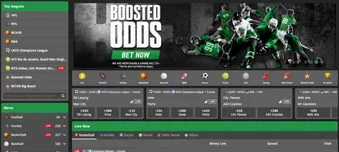 1xbet para windows 