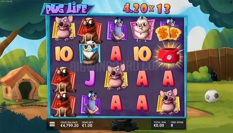 3655bet 
