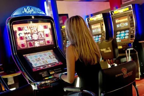 c333 bet 