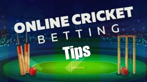 dardos bet365 