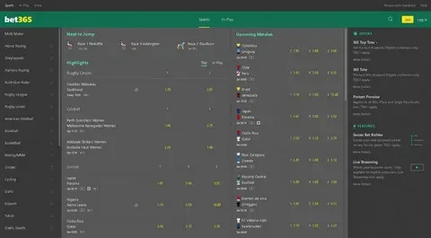 jogos do corinthians brasileirão série a 2024 