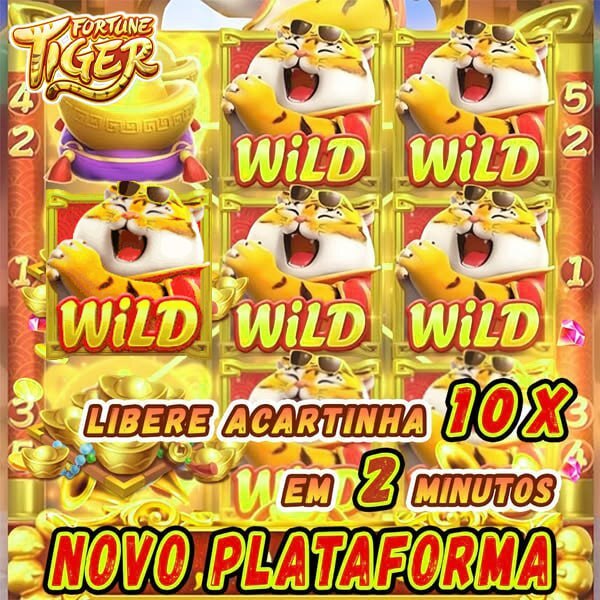 support cassino online 